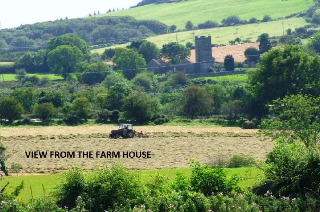 Wonderful Setting Farmhouse Apartment Виклоу Экстерьер фото